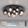 Paul Neuhaus Verlichting Popup Plafondlamp LED Grijs, 11-lichts, Afstandsbediening
