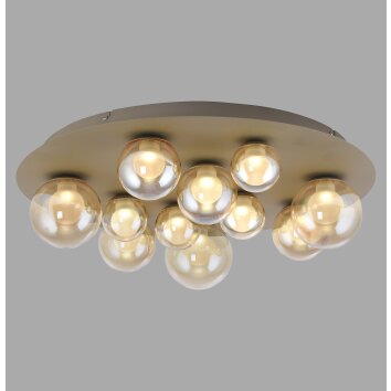 Paul Neuhaus Verlichting Popup Plafondlamp LED Brons, 11-lichts, Afstandsbediening