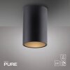 Paul Neuhaus Verlichting Point Plafondlamp LED Zwart, 1-licht