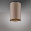 Paul Neuhaus Verlichting Point Plafondlamp LED Brons, 1-licht