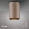 Paul Neuhaus Verlichting Point Plafondlamp LED Brons, 1-licht