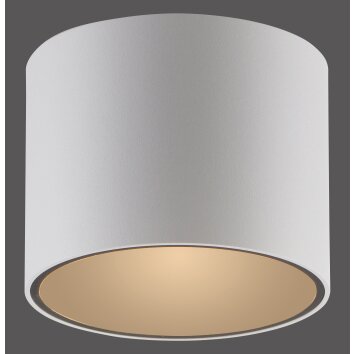 Paul Neuhaus Verlichting Point Plafondlamp LED Wit, 1-licht