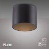 Paul Neuhaus Verlichting Point Plafondlamp LED Zwart, 1-licht