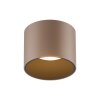 Paul Neuhaus Verlichting Point Plafondlamp LED Brons, 1-licht