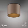 Paul Neuhaus Verlichting Point Plafondlamp LED Brons, 1-licht
