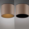 Paul Neuhaus Verlichting Point Plafondlamp LED Brons, 1-licht