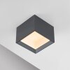 Paul Neuhaus Verlichting Manhattan Plafondlamp LED Grijs, 1-licht, Afstandsbediening