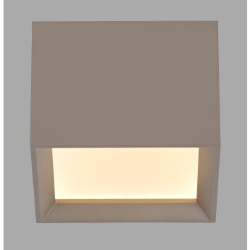 Paul Neuhaus Verlichting Manhattan Plafondlamp LED Brons, 1-licht, Afstandsbediening