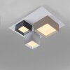Paul Neuhaus Verlichting Manhattan Plafondlamp LED Grijs, 1-licht, Afstandsbediening