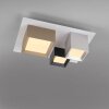 Paul Neuhaus Verlichting Manhattan Plafondlamp LED Grijs, 1-licht, Afstandsbediening