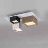 Paul Neuhaus Verlichting Manhattan Plafondlamp LED Grijs, 1-licht, Afstandsbediening