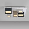 Paul Neuhaus Verlichting Manhattan Plafondlamp LED Grijs, 1-licht, Afstandsbediening
