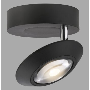 Paul Neuhaus Verlichting Oculis Plafondlamp LED Zwart, 1-licht