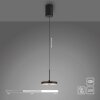 Lichten Direct PLATA Hanglamp LED Zwart, 1-licht