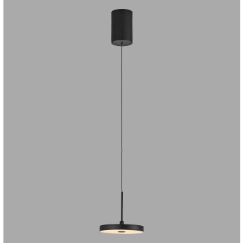 Lichten Direct PLATA Hanglamp LED Zwart, 1-licht