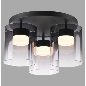 Lichten Direct ELIO Plafondlamp LED Zwart, 3-lichts