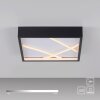 Lichten Direct MIKADO Plafondlamp LED Zwart, 1-licht