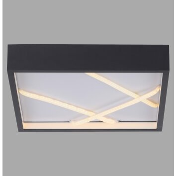 Lichten Direct MIKADO Plafondlamp LED Zwart, 1-licht