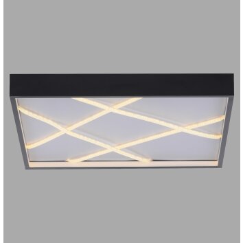 Lichten Direct MIKADO Plafondlamp LED Zwart, 1-licht