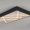Lichten Direct MIKADO Plafondlamp LED Zwart, 1-licht