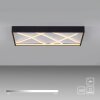 Lichten Direct MIKADO Plafondlamp LED Zwart, 1-licht