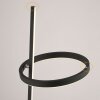 Lichten Direct RITUS Staande lamp LED Zwart, 2-lichts