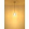 Globo Maribel Hanglamp Chroom, 1-licht