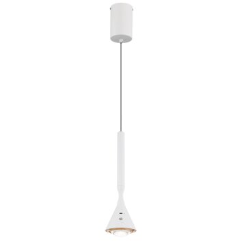 Globo Lucinda Hanglamp LED Wit, 1-licht