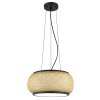 Globo Bambora Hanglamp LED Zwart, 1-licht