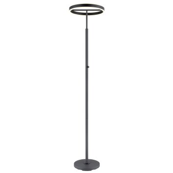 Globo Emanuel Plafondlamp LED Antraciet, Zwart, 1-licht