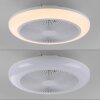 Lichten Direct mit Plafondventilator met verlichting LED Wit, 1-licht, Afstandsbediening