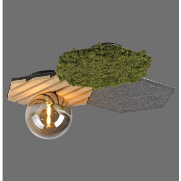 Lichten Direct HEX Plafondlamp LED Grijs, Groen, 1-licht