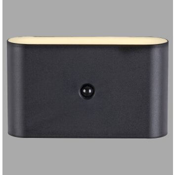 Lichten Direct ZIDDY Wandlamp LED Zwart, 2-lichts, Bewegingsmelder