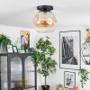 Ripoll Plafondlamp, Kogellampje Amber, Duidelijk, 1-licht