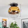 Ripoll Plafondlamp, Kogellampje Goud, Duidelijk, 1-licht