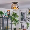 Ripoll Plafondlamp, Kogellampje Chroom, Duidelijk, Rookkleurig, 1-licht