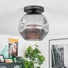 Ripoll Plafondlamp, Kogellampje Rookkleurig, 1-licht