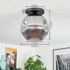 Ripoll Plafondlamp, Kogellampje Rookkleurig, 1-licht