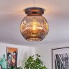 Ripoll Plafondlamp, Kogellampje Rookkleurig, 1-licht