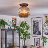 Ripoll Plafondlamp, Kogellampje Rookkleurig, 1-licht