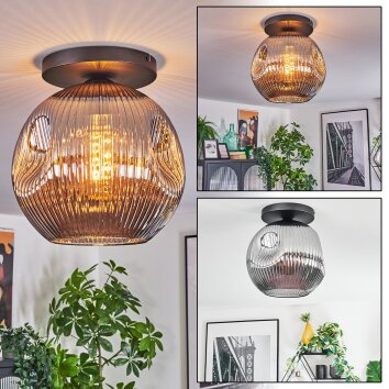 Ripoll Plafondlamp, Kogellampje Rookkleurig, 1-licht