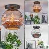Ripoll Plafondlamp, Kogellampje Chroom, Rookkleurig, 1-licht