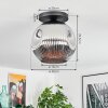 Ripoll Plafondlamp, Kogellampje Chroom, Rookkleurig, 1-licht
