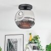 Ripoll Plafondlamp, Kogellampje Chroom, Rookkleurig, 1-licht