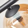 Chehalis Plafondlamp, Kogellampje Amber, Duidelijk, 4-lichts