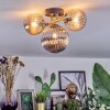 Chehalis Plafondlamp, Kogellampje Goud, Zwart, 3-lichts