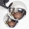 Chehalis Plafondlamp, Kogellampje Chroom, Rookkleurig, 4-lichts