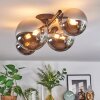 Chehalis Plafondlamp, Kogellampje Chroom, Rookkleurig, 4-lichts