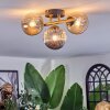 Chehalis Plafondlamp, Kogellampje Goud, Zwart, 3-lichts