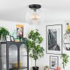 Ripoll Plafondlamp, Kogellampje Duidelijk, 1-licht